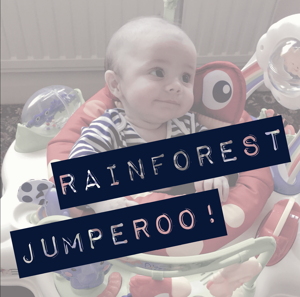 Rainforest Jumperoo Review