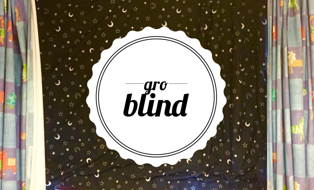 Gro Blind Review
