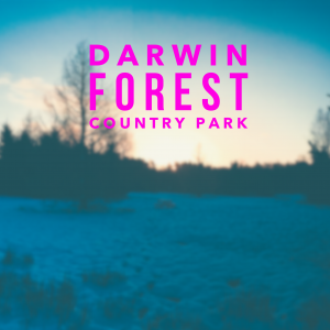 darwin forest country park review