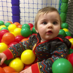 darwin forest country park games room and soft play