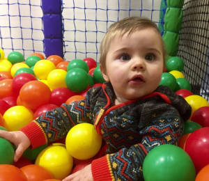 darwin forest country park games room and soft play