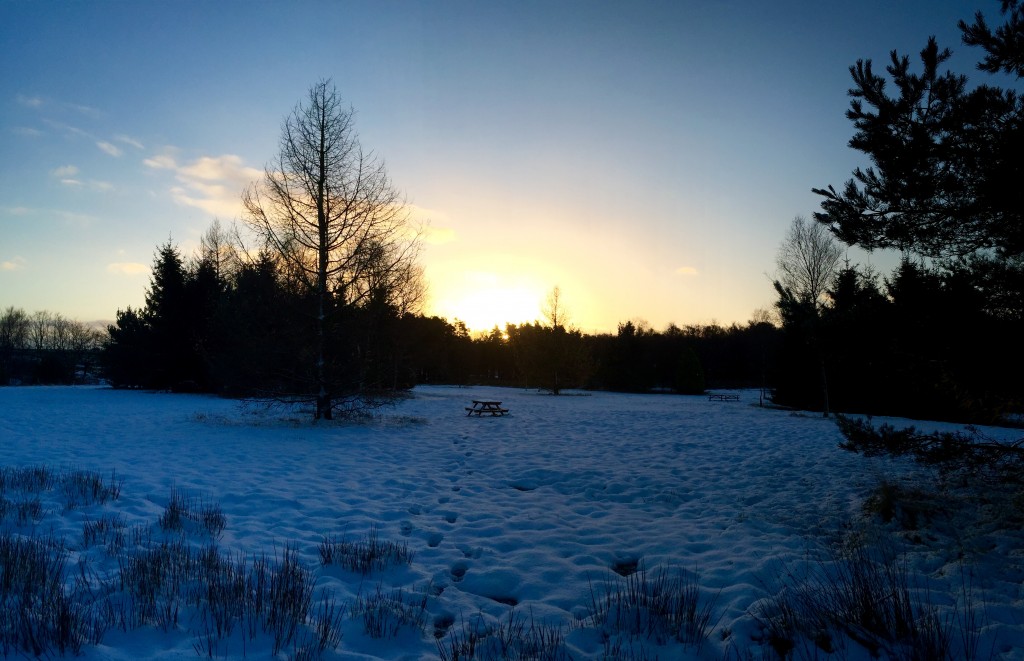 sunrise at darwin forest country park in the snow