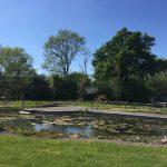 Oasis Lodges Ledbury Natural Swimming Pool