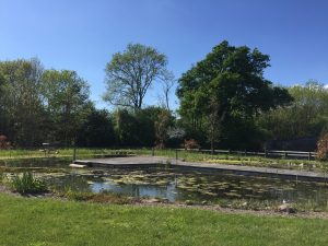 Oasis Lodges Ledbury Natural Swimming Pool
