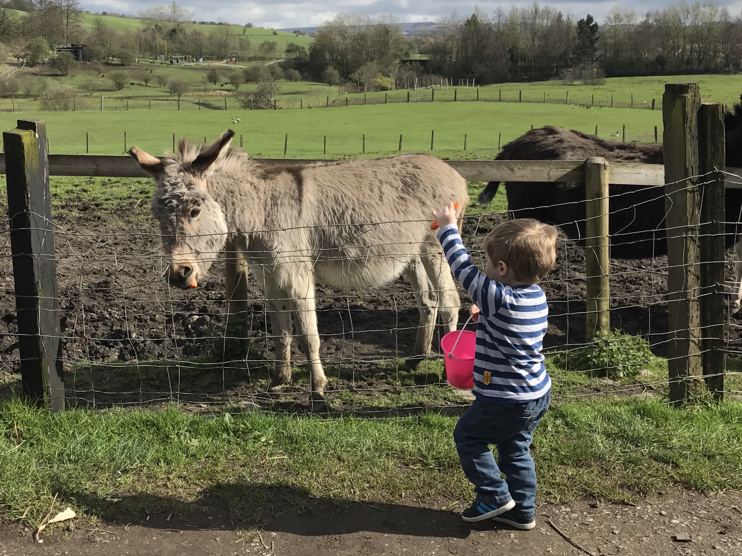 Lancaster Farm Park, Oldham Review with a Toddler