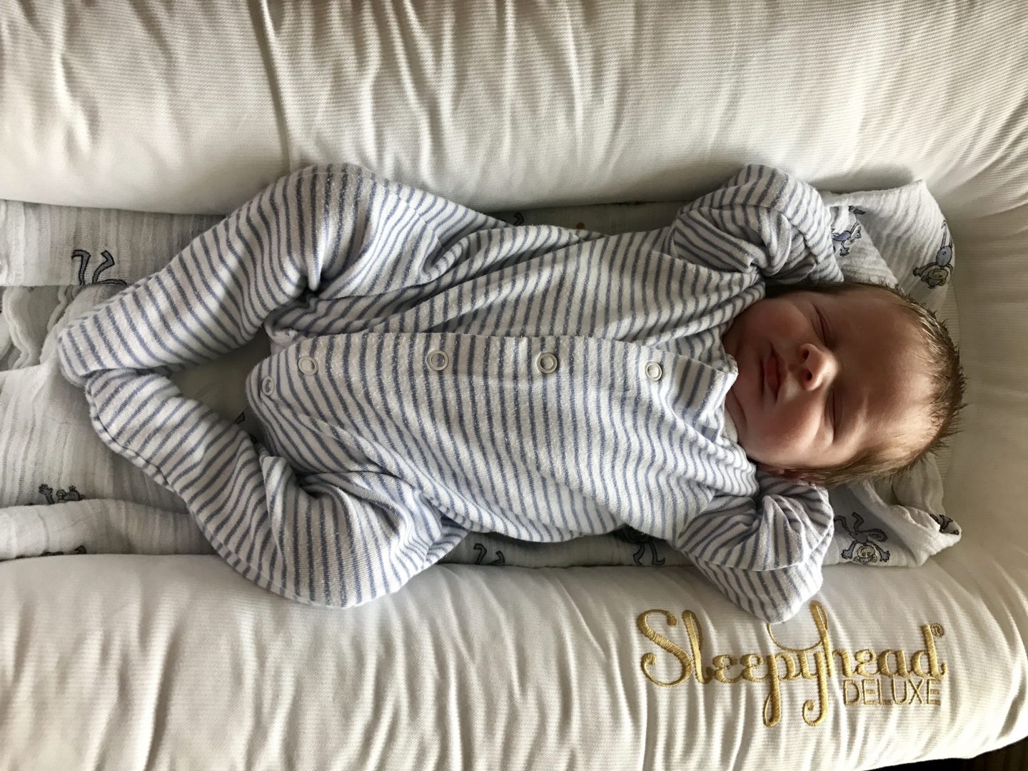 Sleepyhead Deluxe Pod Review – Does it Help Baby to Sleep Better?