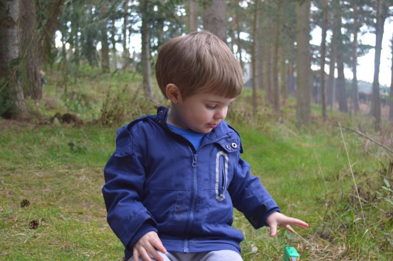 exploring whinfell forest