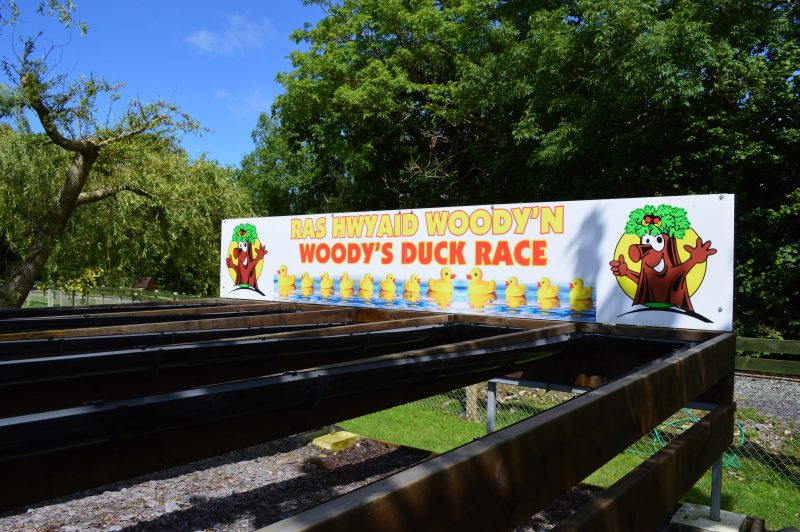 gypsy wood duck racing