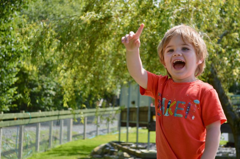 Toddler pointing out the train at Gypsy Wood