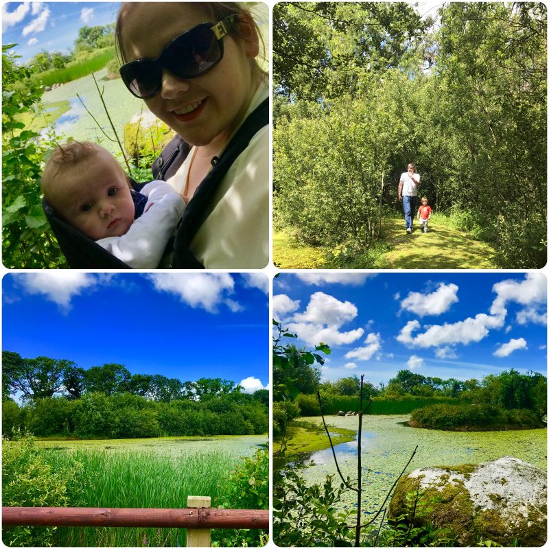 Lakeside picnic area and walk gypsy wood
