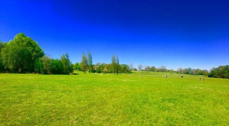heaton park in the sun