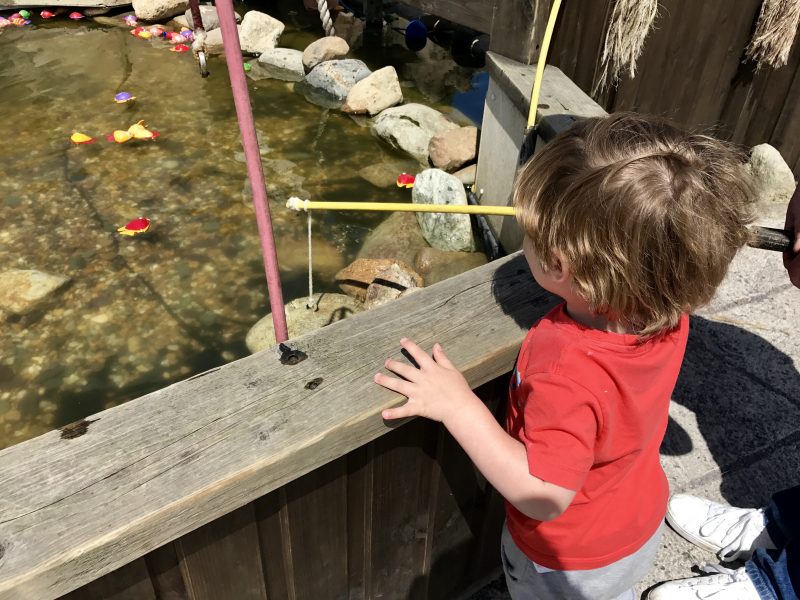 magnetic fishing gypsy wood