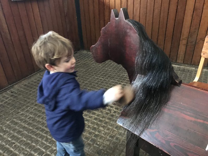 Brushing a horse's hair